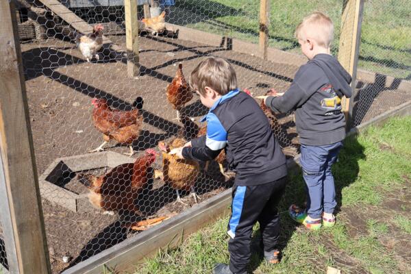 Two Oyster River preschool students feeding chicken at Emery Farm.